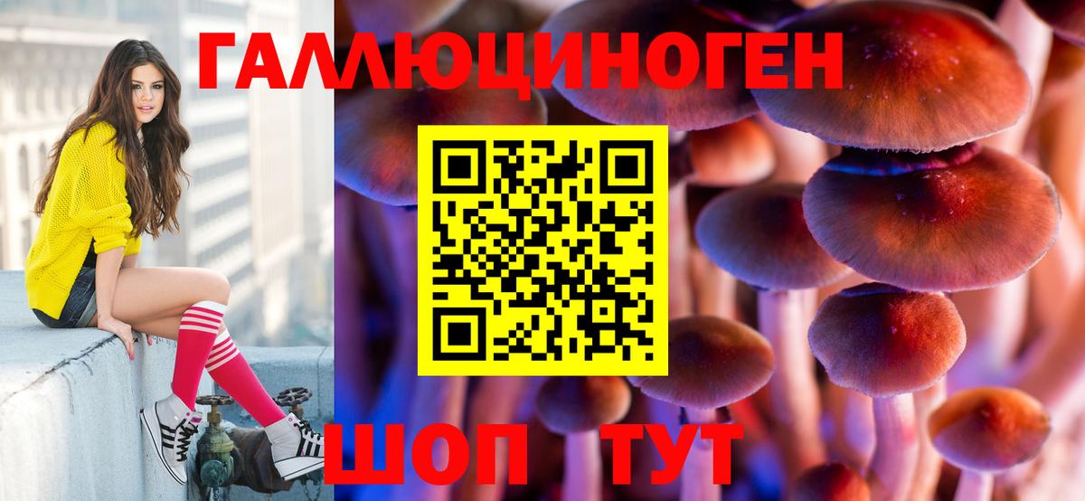 Нальчик  Галлюциногенные грибы GOLDEN TEACHER  Вход с VPN  Псилоцибиновые грибы GOLDEN TEACHER 